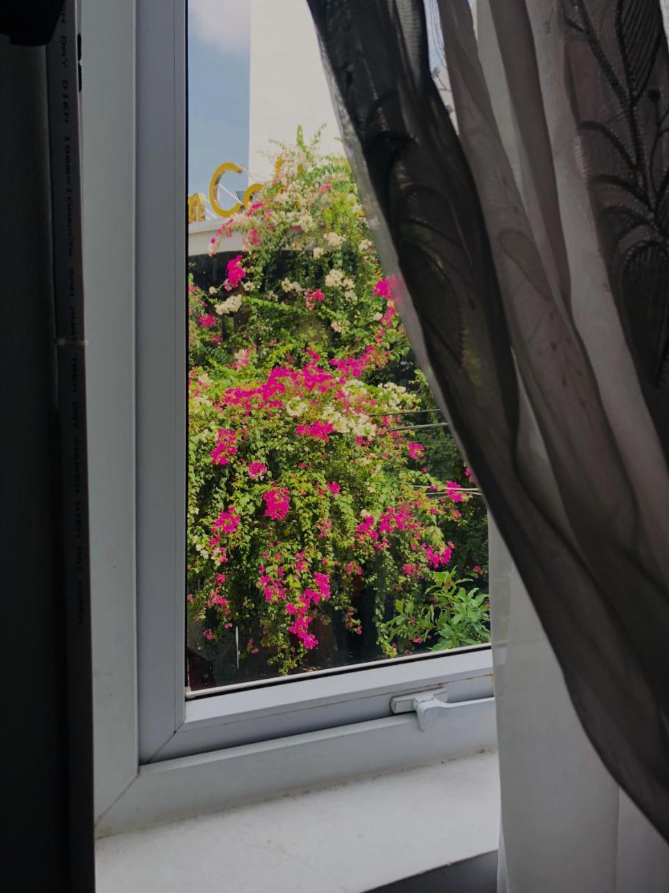 Tuong Van Homestay Đà Nẵng Exterior foto